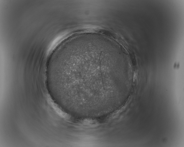 X0000111140101200907211148