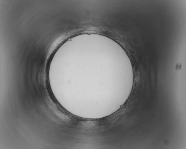 X0000111140102200907211148