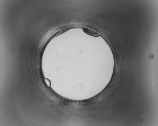 X0000111140103200907211148