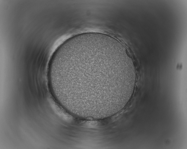 X0000111140104200907211148