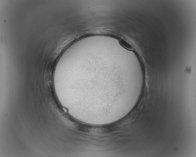 X0000111140105200907211148