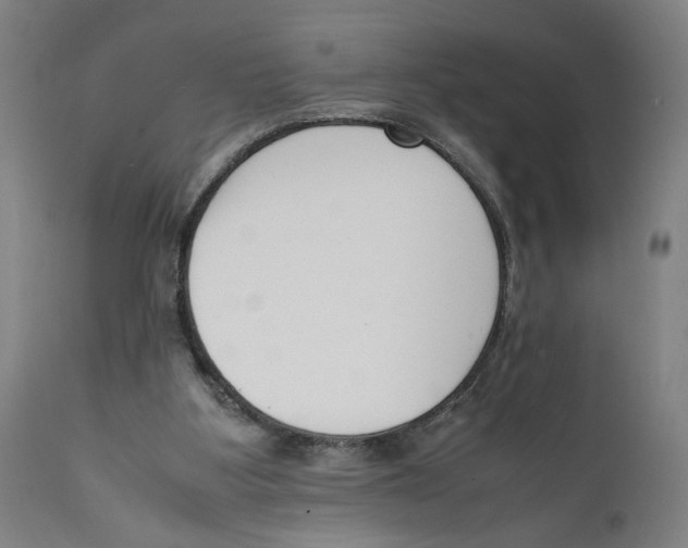 X0000111140107200907211148