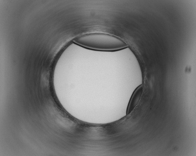 X0000111140108200907211148