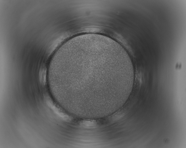 X0000111140110200907211148