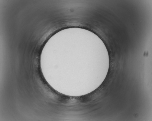 X0000111140111200907211148