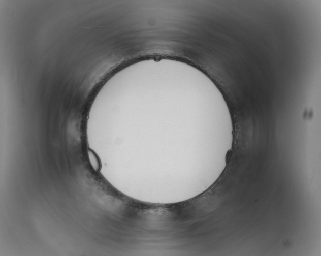 X0000111140112200907211148