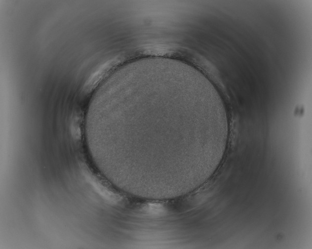 X0000111140114200907211148