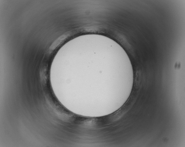 X0000111140116200907211148