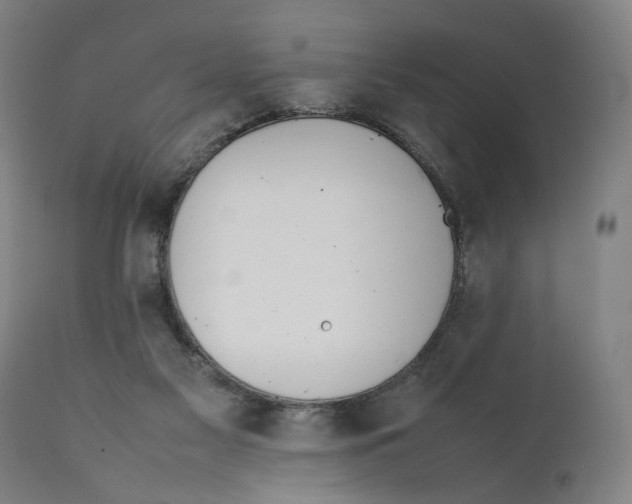 X0000111140117200907211148