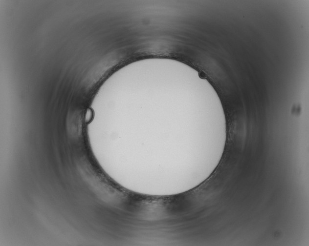 X0000111140120200907211148