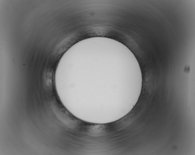 X0000111140122200907211148