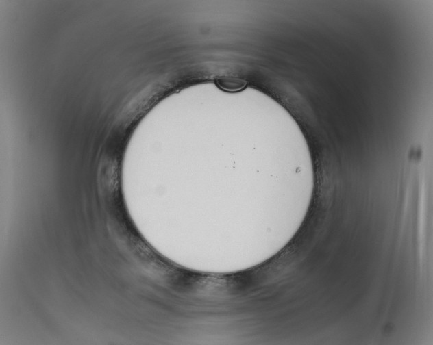 X0000111140123200907211148