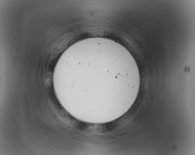 X0000111140125200907211148