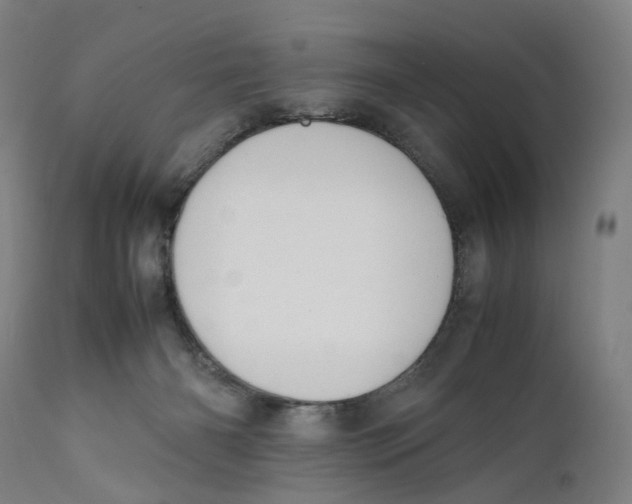 X0000111140126200907211148