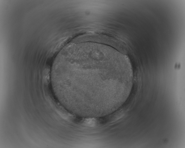 X0000111140127200907211148