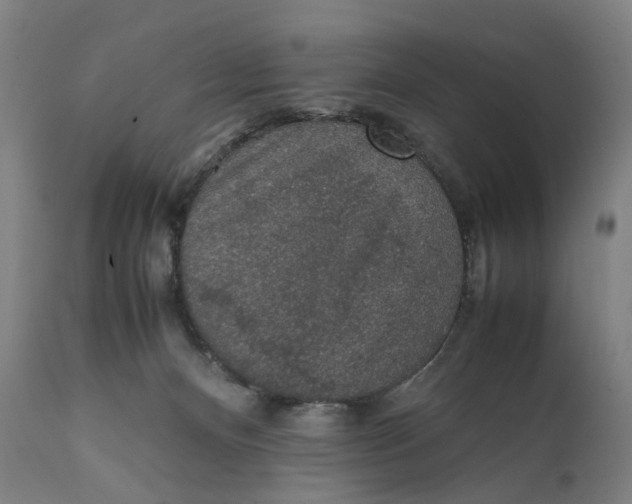 X0000111140128200907211148