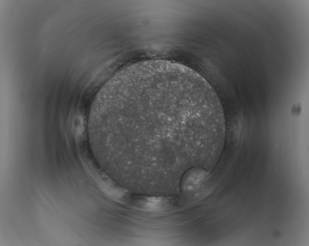 X0000111140130200907211148