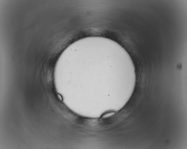 X0000111140131200907211148