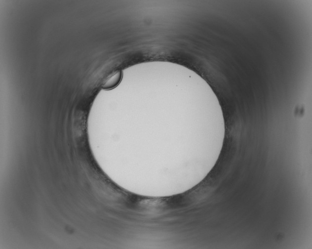 X0000111140133200907211148