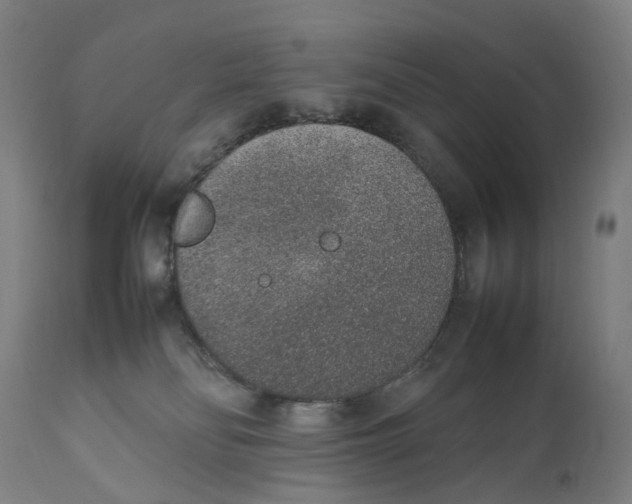 X0000111140134200907211148