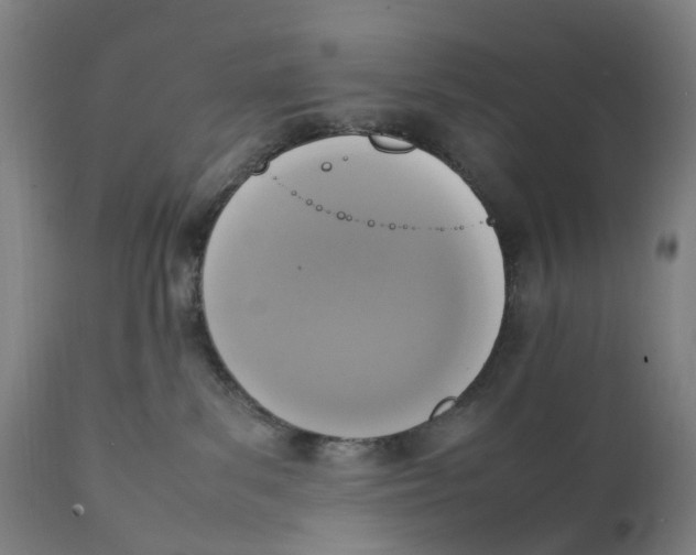 X0000111140139200907211148