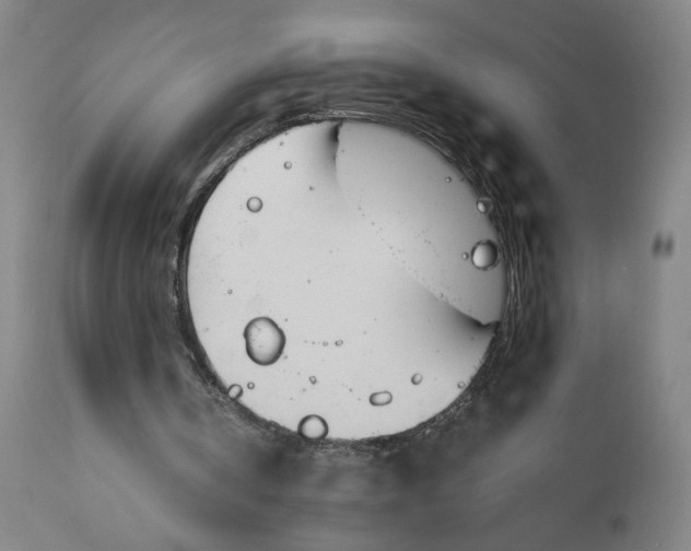 X0000111140146200907211147