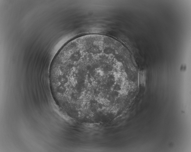 X0000111140147200907211147