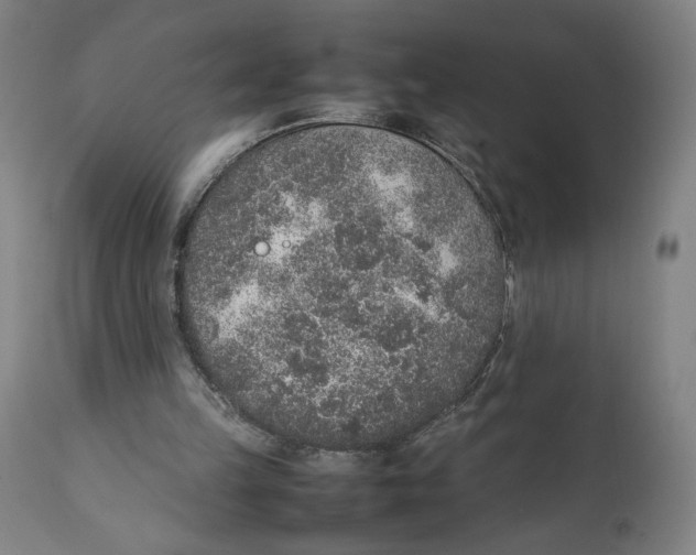 X0000111140149200907211147