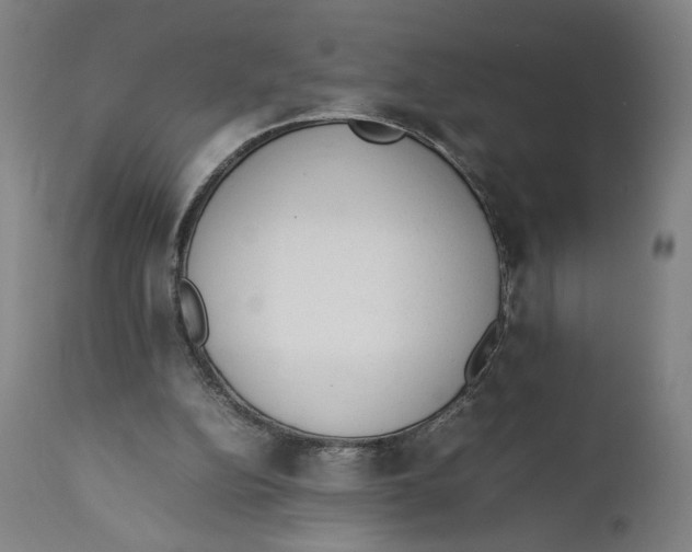 X0000111140152200907211147