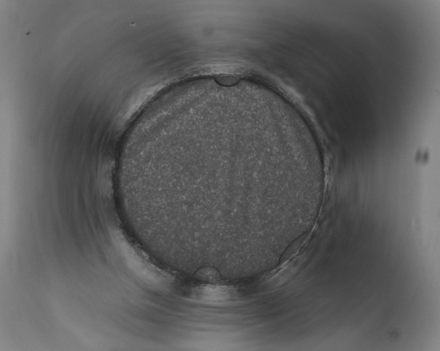 X0000111140154200907211147