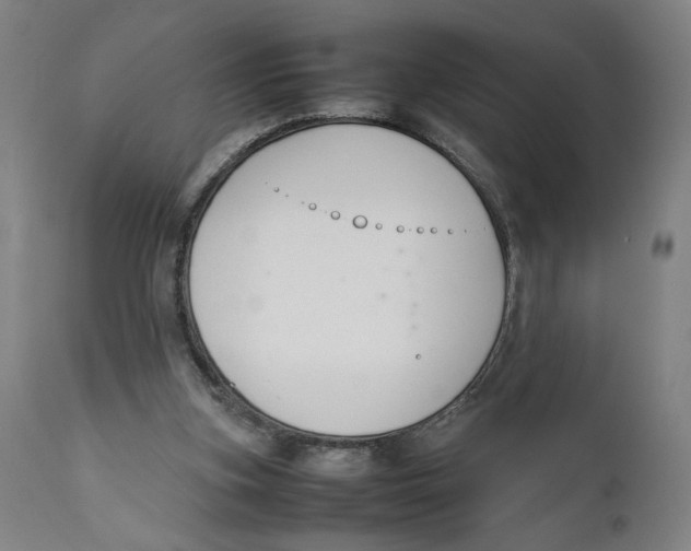 X0000111140155200907211147