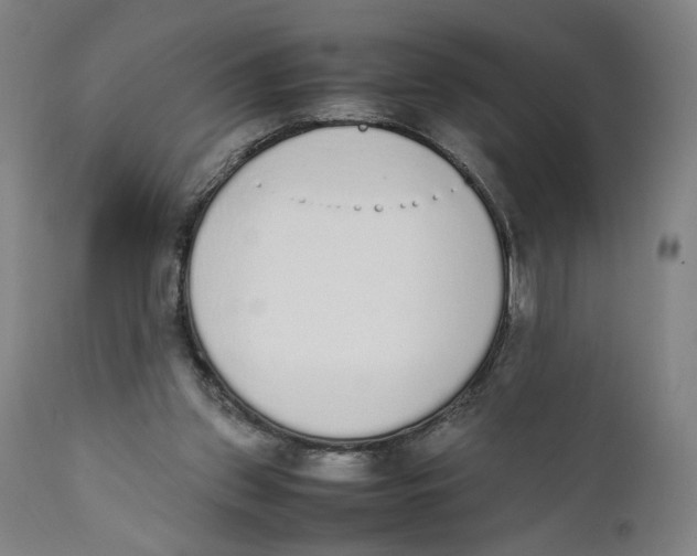 X0000111140157200907211147