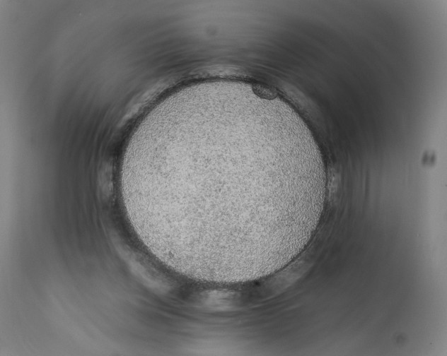 X0000111140158200907211147