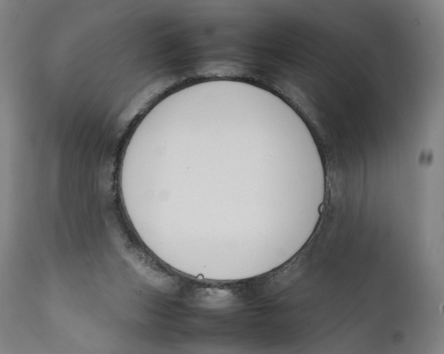 X0000111140159200907211147