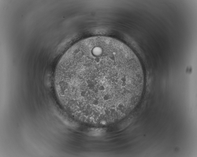 X0000111140161200907211147