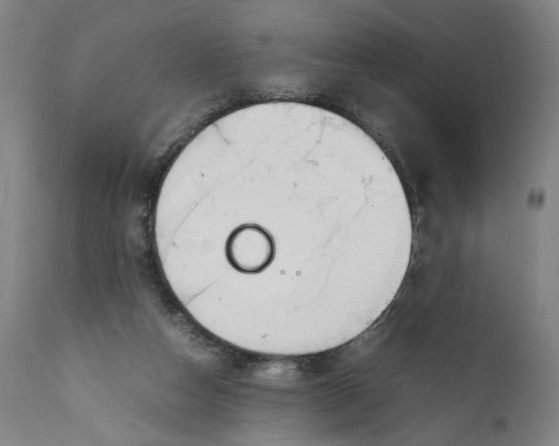 X0000111140162200907211147