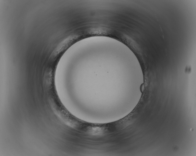 X0000111140163200907211147