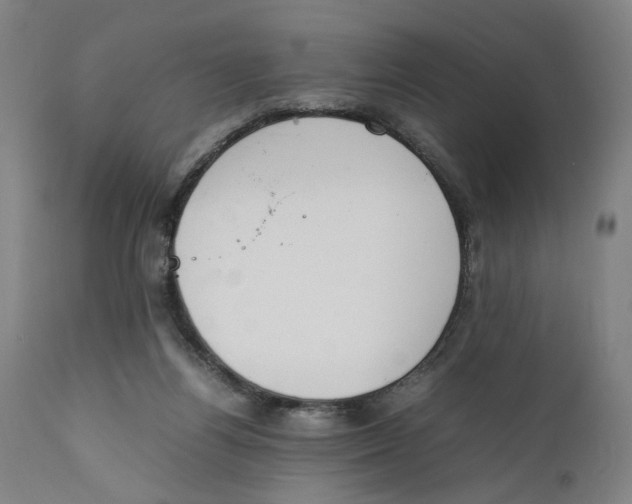 X0000111140164200907211147