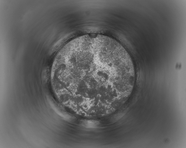 X0000111140165200907211147