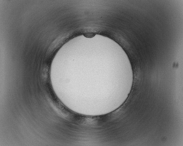 X0000111140166200907211147