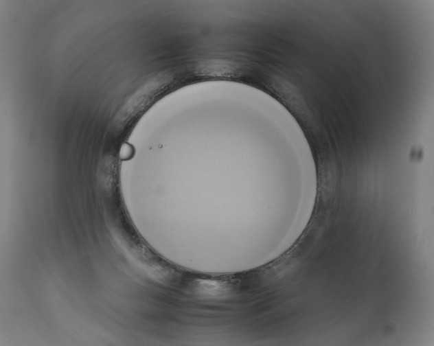 X0000111140167200907211147