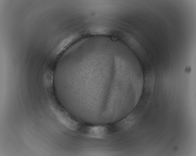 X0000111140168200907211147