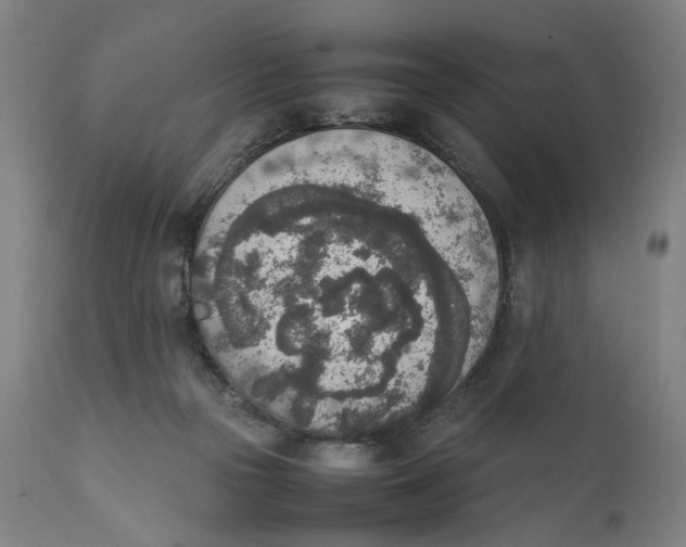 X0000111140169200907211147