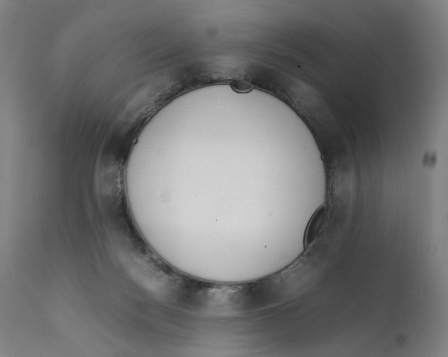 X0000111140172200907211147