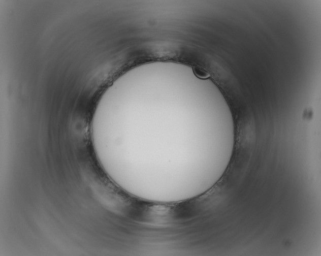 X0000111140176200907211147