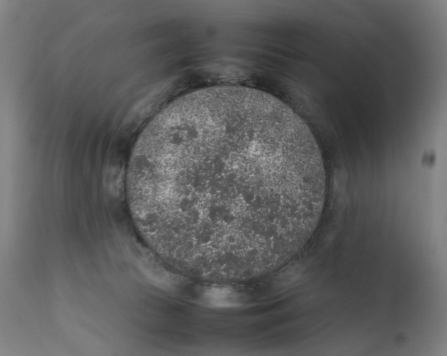 X0000111140177200907211147