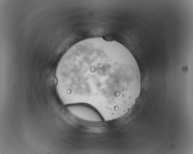 X0000111140179200907211147