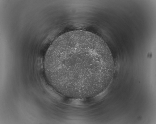 X0000111140182200907211147