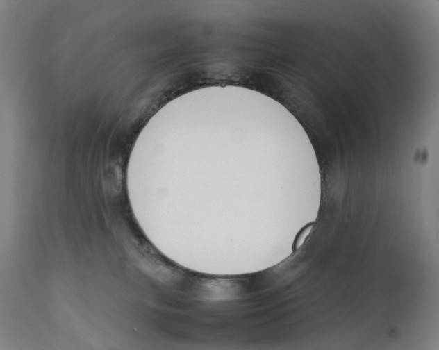 X0000111140183200907211147