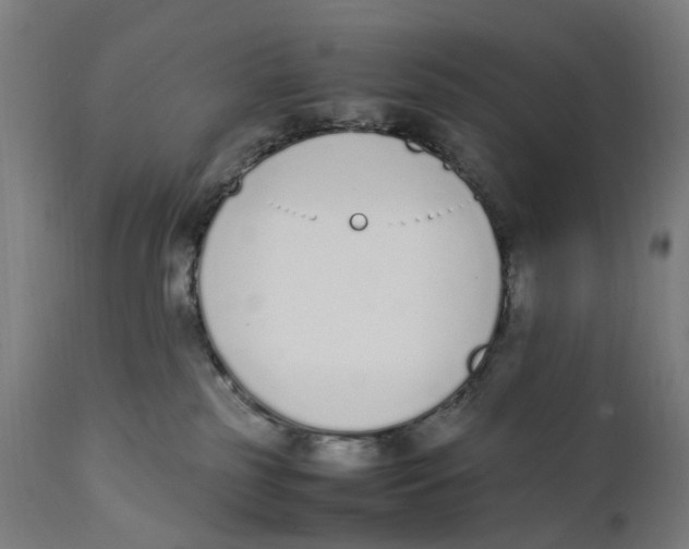 X0000111140185200907211147